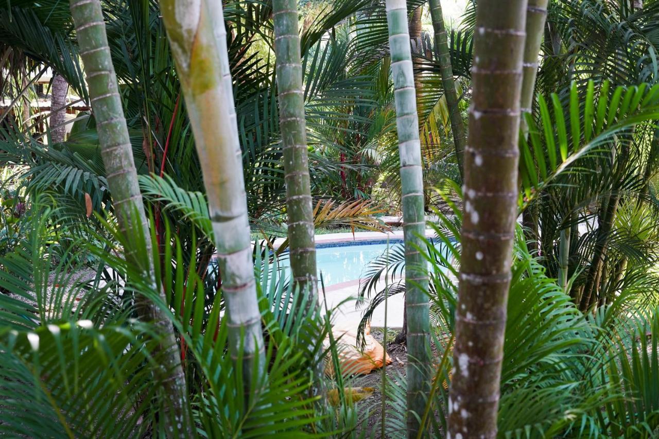 Hotel Luz De Luna Playa Santa Teresa  Zewnętrze zdjęcie
