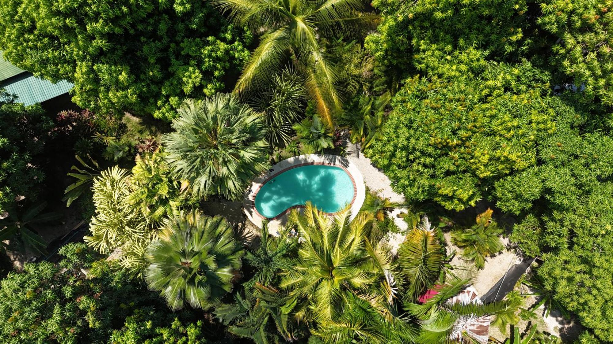 Hotel Luz De Luna Playa Santa Teresa  Zewnętrze zdjęcie